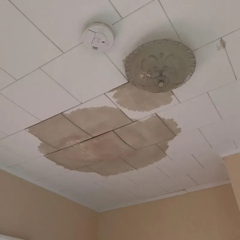Ceiling Water Damage Repair in Hinton, WV