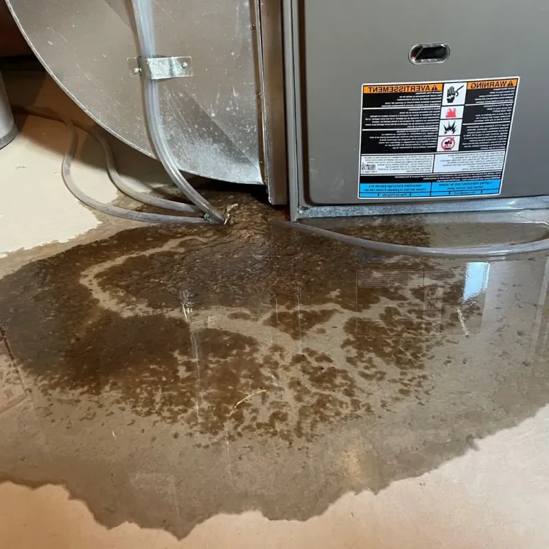 Pipe Burst and Leak Restoration in Hinton, WV