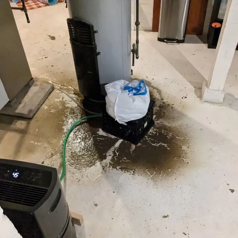 Sewage Backup Cleanup Service in Hinton, WV